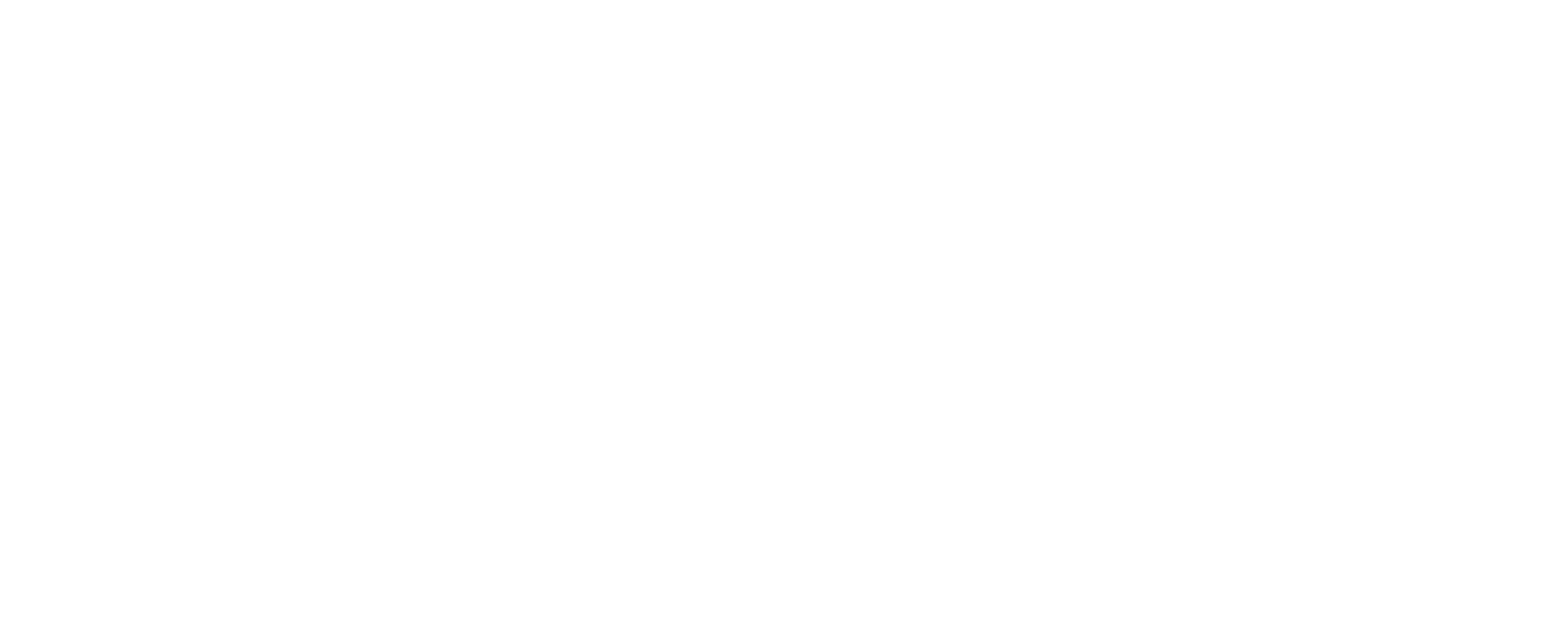 Logo Ski Deluxe